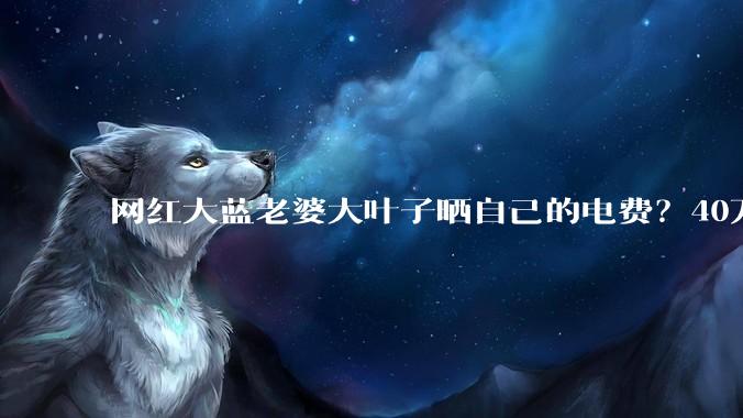 网红大蓝老婆大叶子晒自己的电费？40万每年，到底是什么概念？