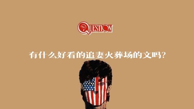 有什么好看的追妻火葬场的文吗？