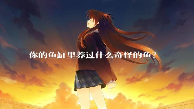 你的鱼缸里养过什么奇怪的鱼？