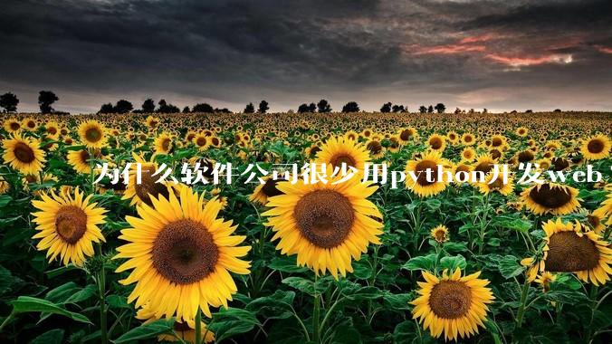 为什么软件公司很少用python开发web?