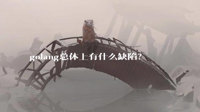 golang总体上有什么缺陷？